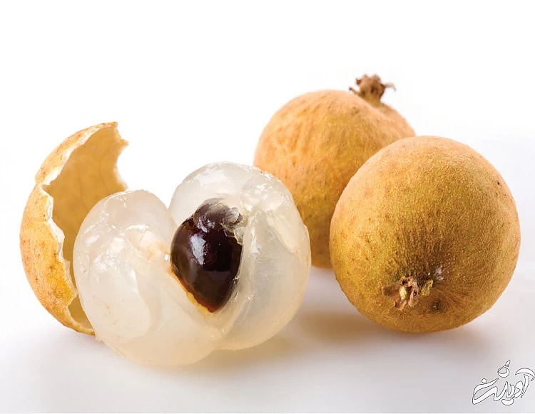 خارگیل ، ترگیل ، مژکی ، میوه بدبو